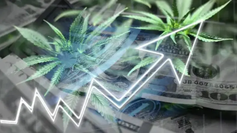 5starsstocks.com Cannabis
