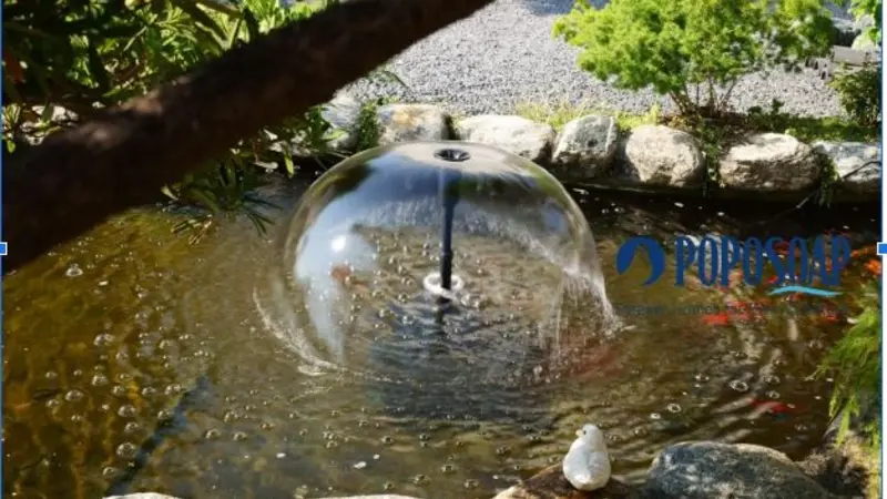 backyard pond