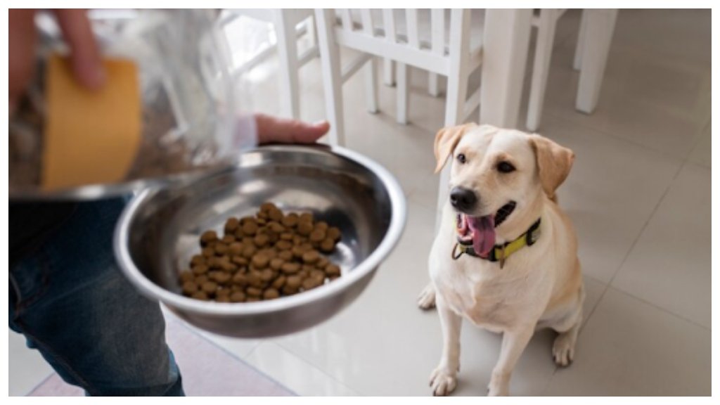 Freeze dried dog food