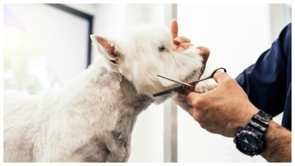 Mobile grooming franchise