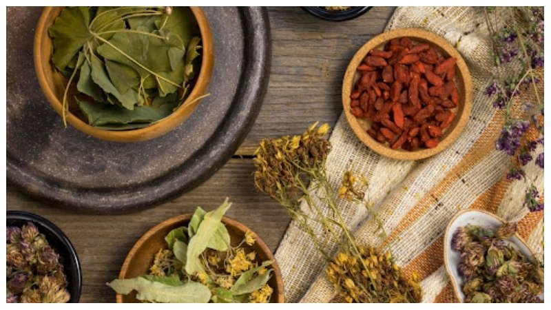 Subtle Patterns of Renewal Through Kampo Herbal Medicine