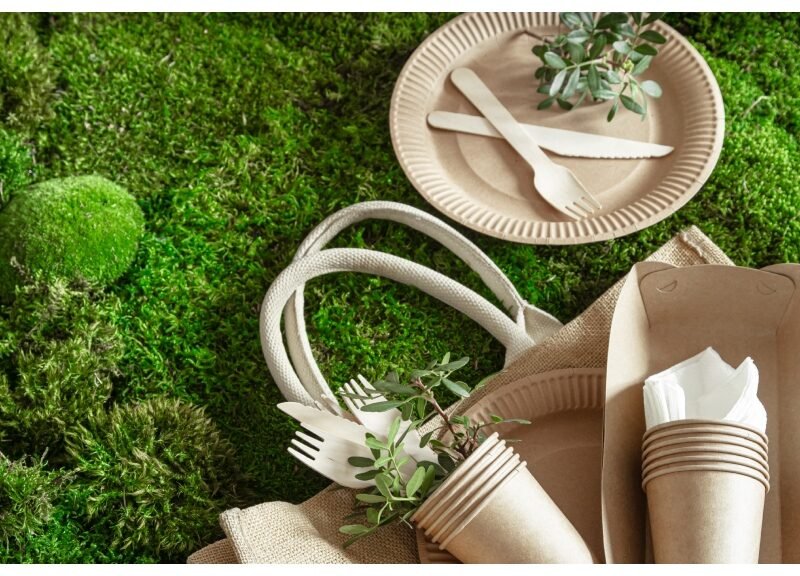 eco-friendly disposable tableware