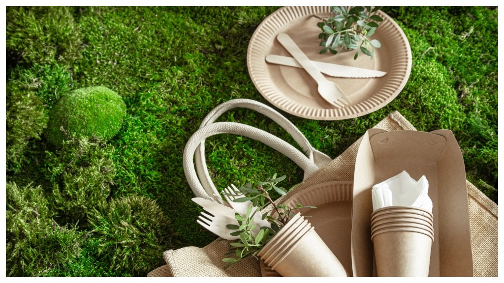 eco-friendly disposable tableware